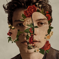 In My Blood/Shawn Mendes